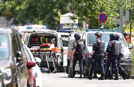 Polica austriake, policia, austri,